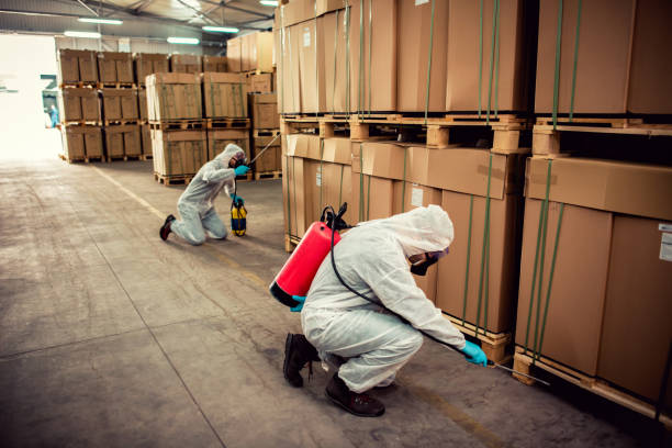 Best Affordable Pest Control Services  in Bradley, IL
