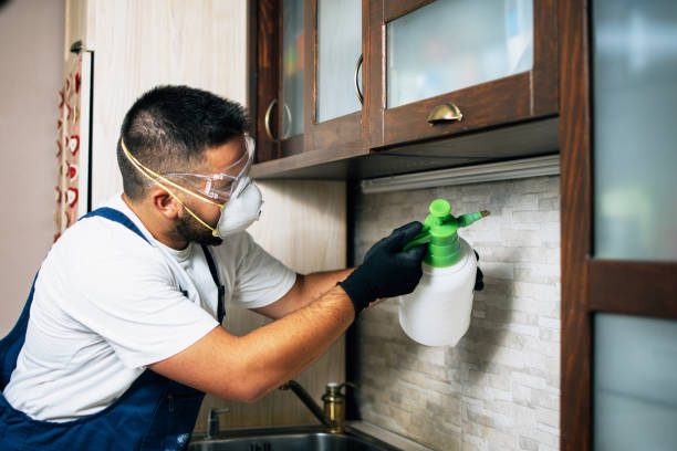 Best Cockroach Control Services  in Bradley, IL