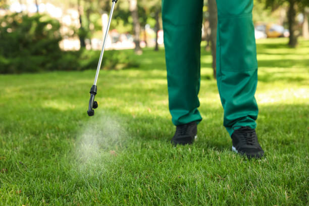 Best Pest Removal Services  in Bradley, IL