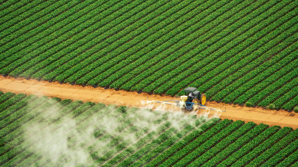 Best Pest Control Cost  in Bradley, IL